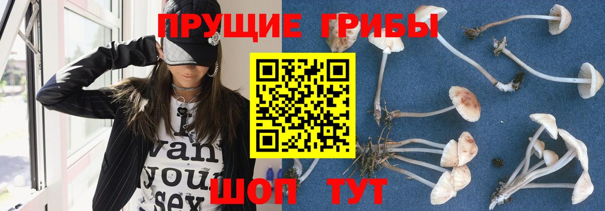 Галлюциногенные грибы мицелий Гай
